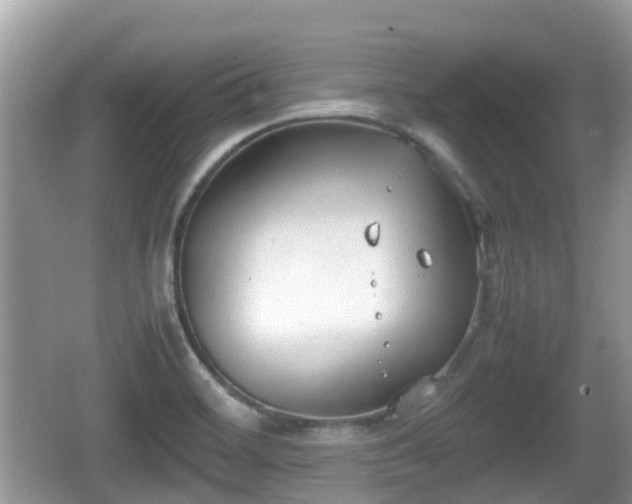 X0000062151468200512161221