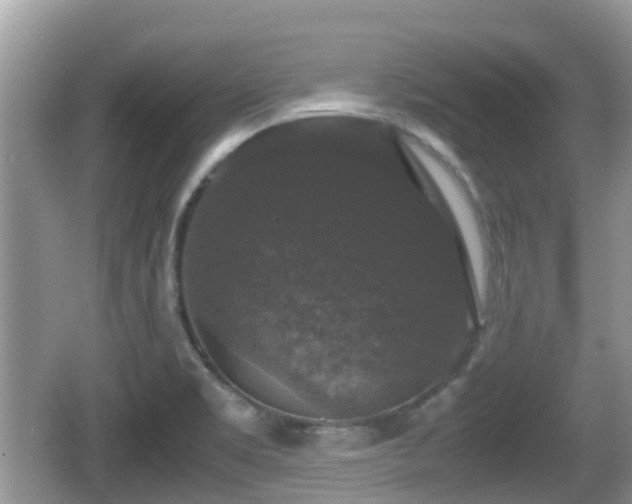 X0000062151469200512161221