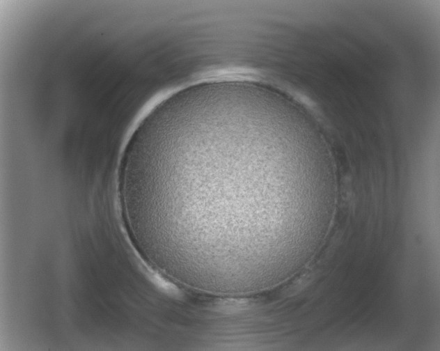 X0000062151470200512161221