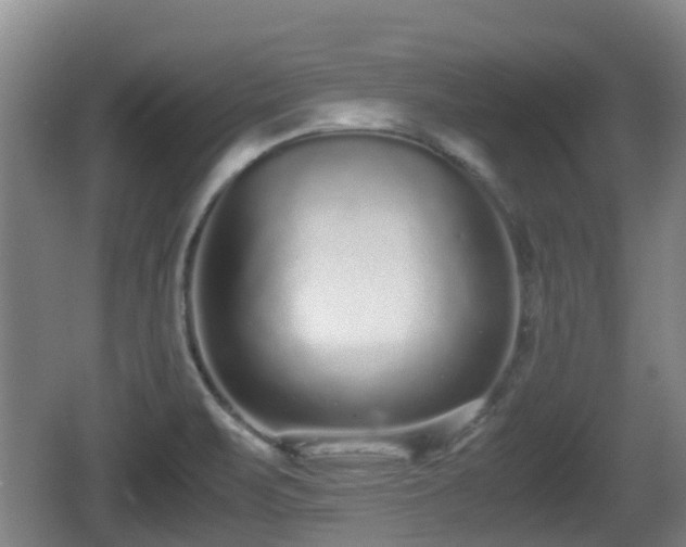 X0000062151471200512161221