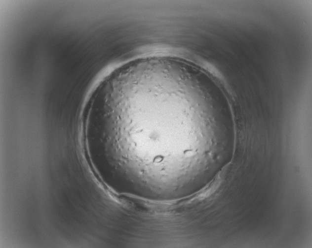 X0000062151472200512161221