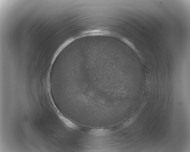 X0000062151474200512161221