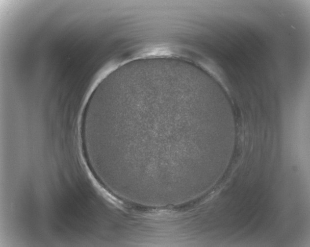 X0000062151475200512161221