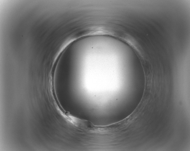 X0000062151476200512161221