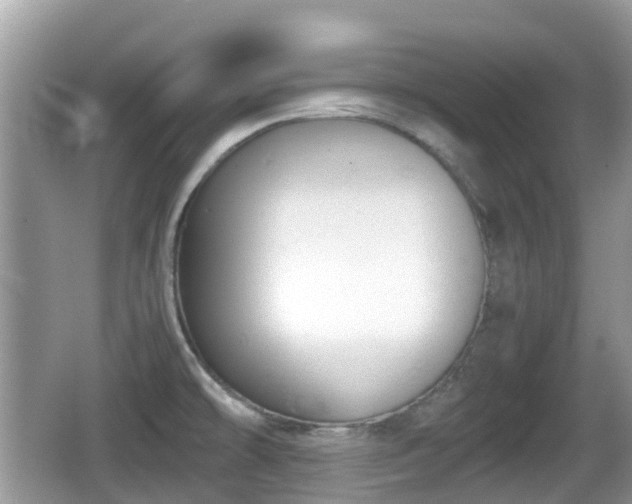 X0000062151478200512161221