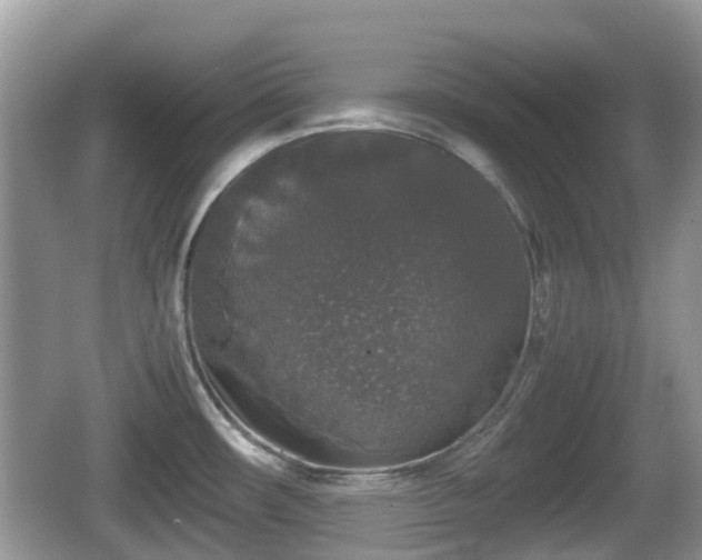 X0000062151482200512161221