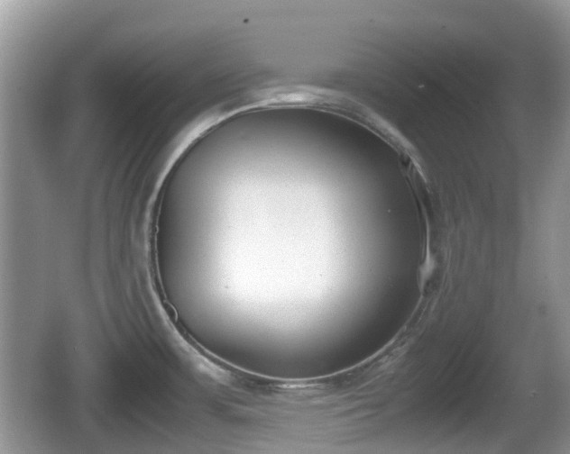 X0000062151483200512161221