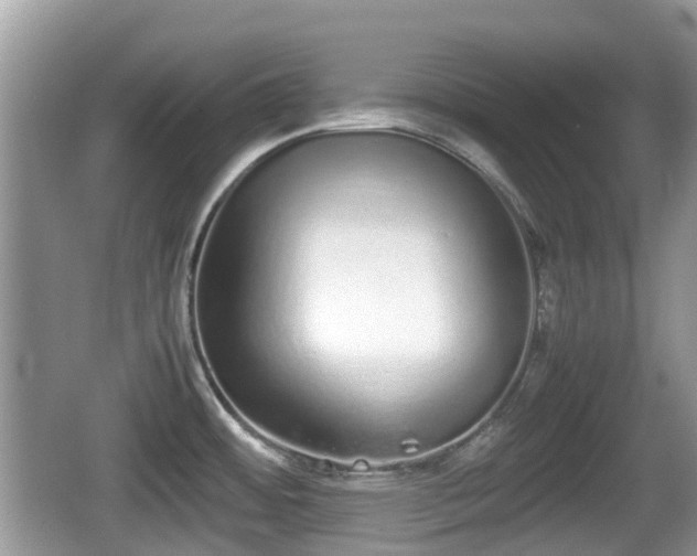 X0000062151484200512161221