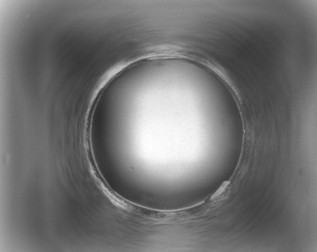 X0000062151485200512161221