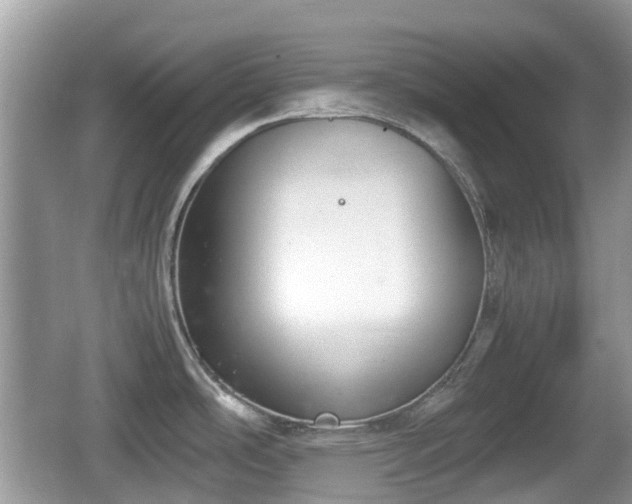 X0000062151486200512161221