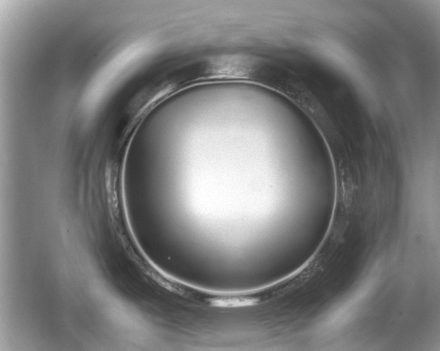 X0000062151487200512161221