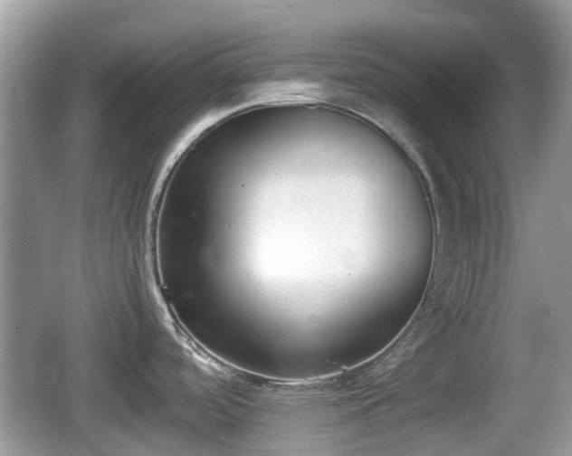 X0000062151488200512161221