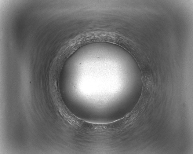 X0000062151489200512161220