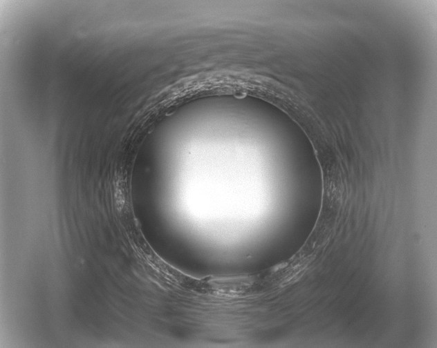 X0000062151490200512161220