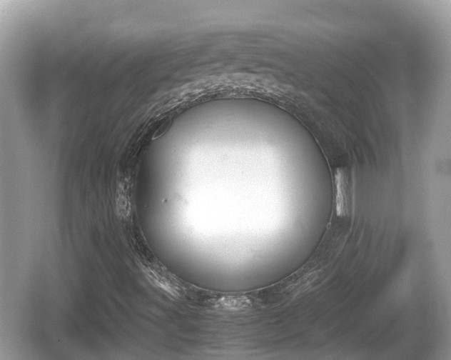 X0000062151491200512161220