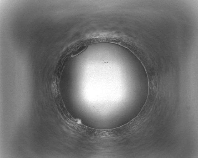 X0000062151493200512161220