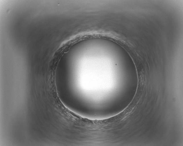 X0000062151494200512161220