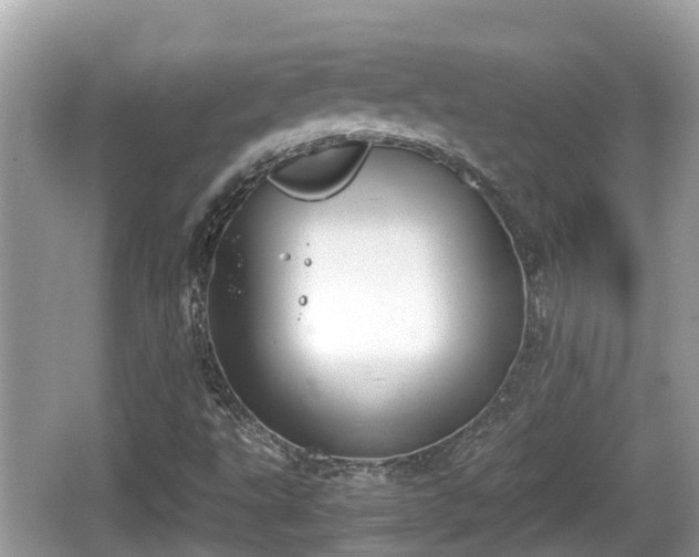 X0000062151495200512161220