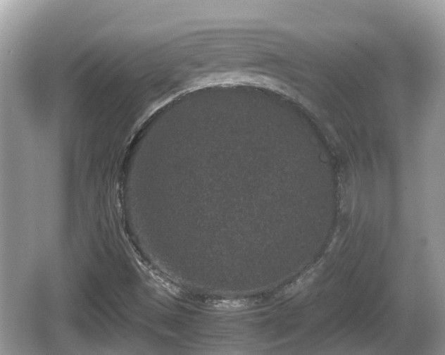 X0000062151497200512161220