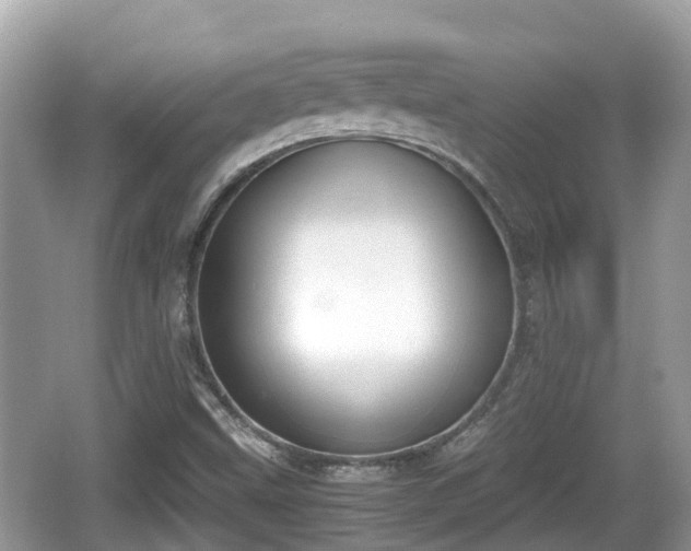 X0000062151499200512161220