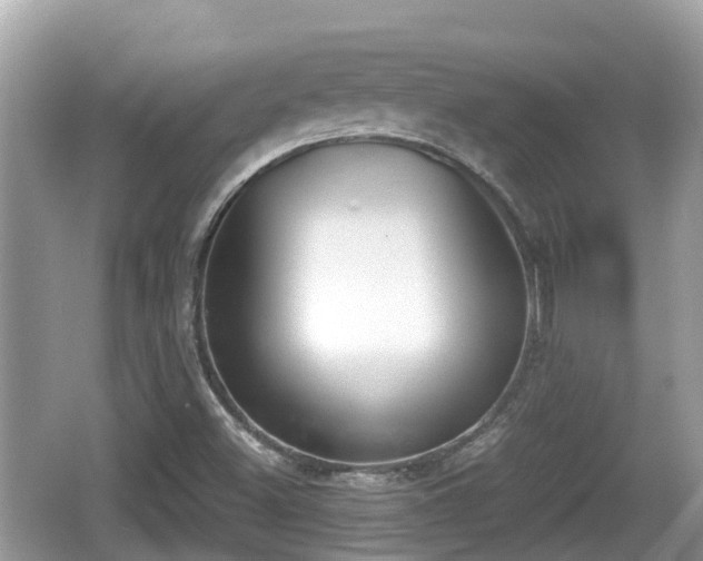 X0000062151500200512161220