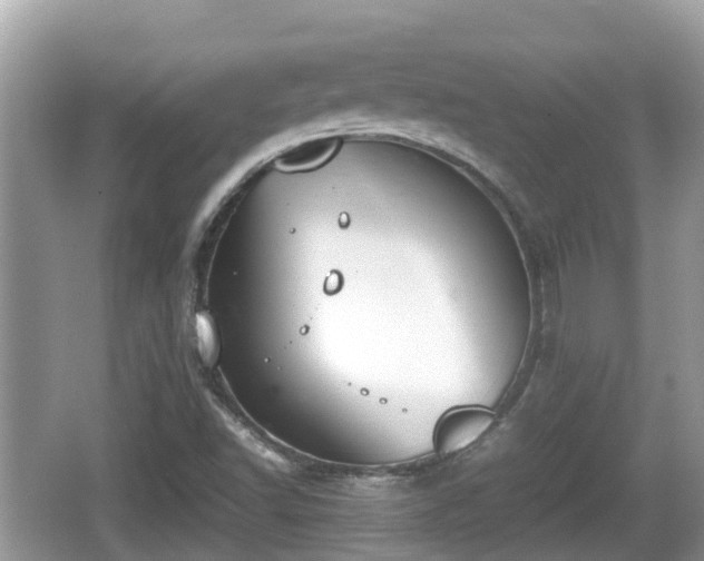 X0000062151502200512161220