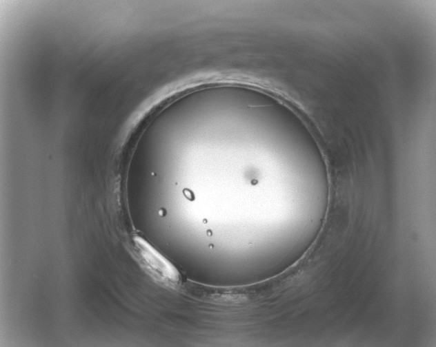 X0000062151503200512161220