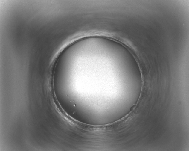 X0000062151504200512161220