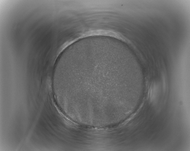 X0000062151505200512161220