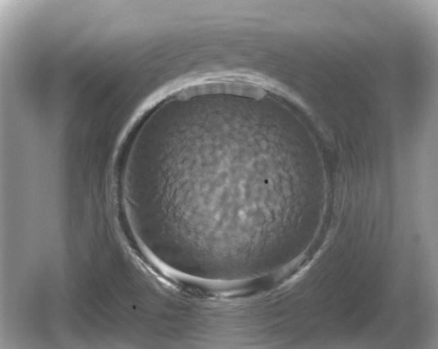 X0000062151506200512161220