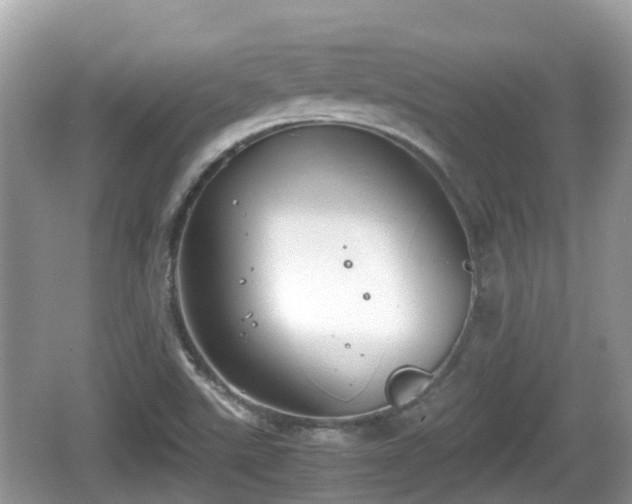 X0000062151507200512161220