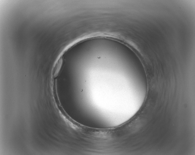 X0000062151508200512161220