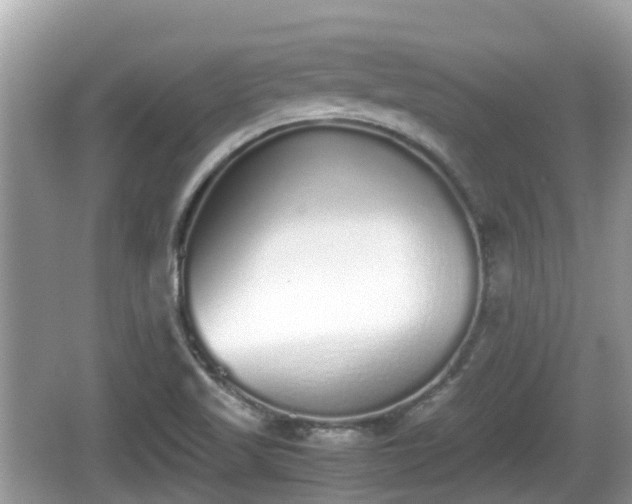 X0000062151509200512161220