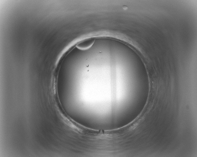 X0000062151510200512161220