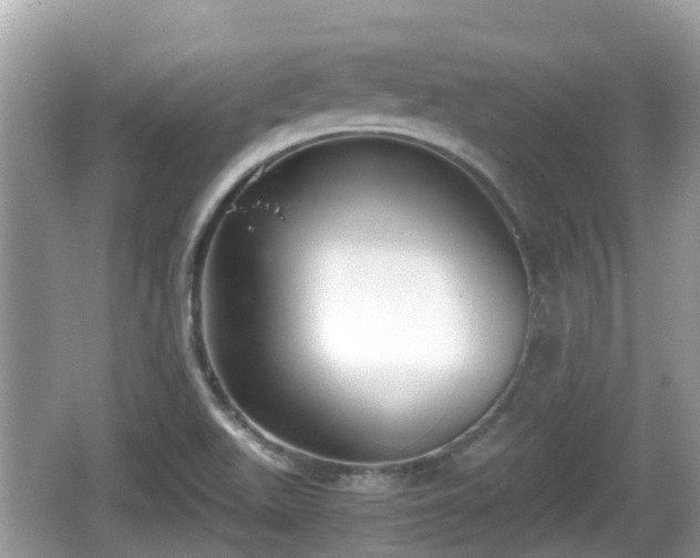 X0000062151511200512161220