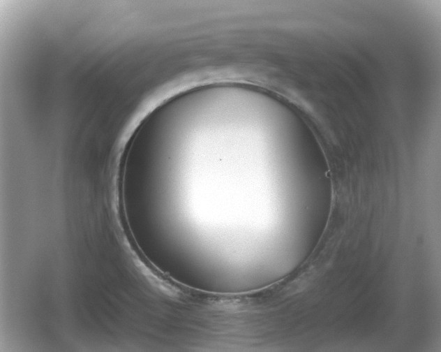 X0000062151512200512161220