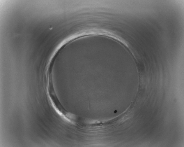 X0000062151515200512161220