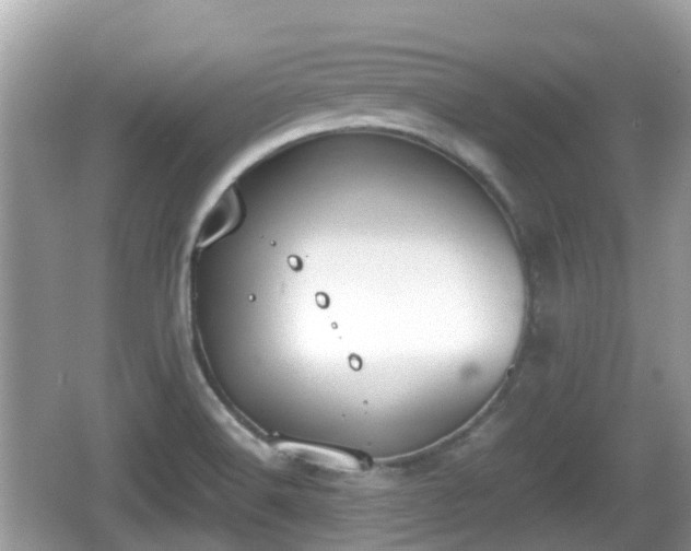 X0000062151516200512161220