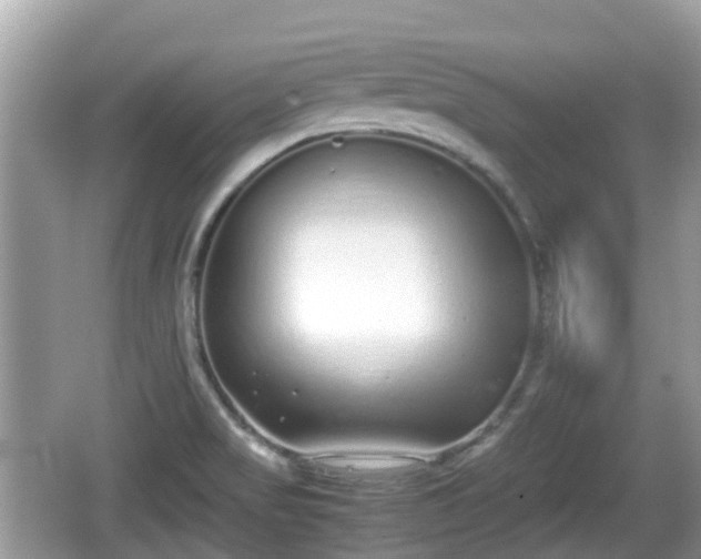 X0000062151517200512161220