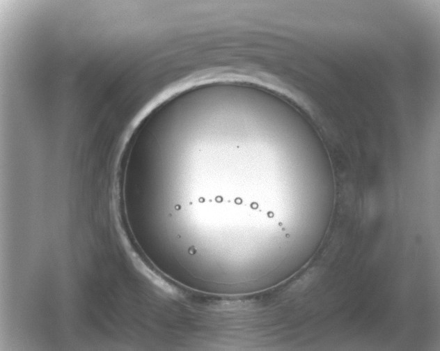 X0000062151518200512161220