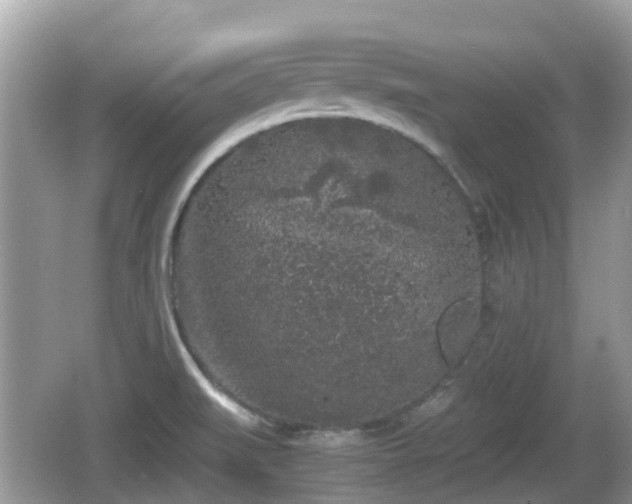 X0000062151519200512161220