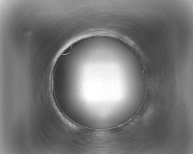 X0000062151520200512161220