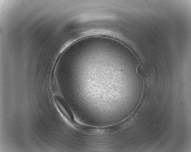 X0000062151521200512161220