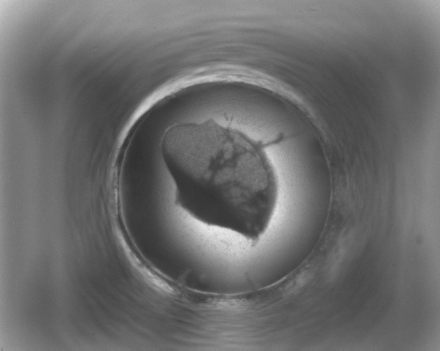 X0000062151522200512161220