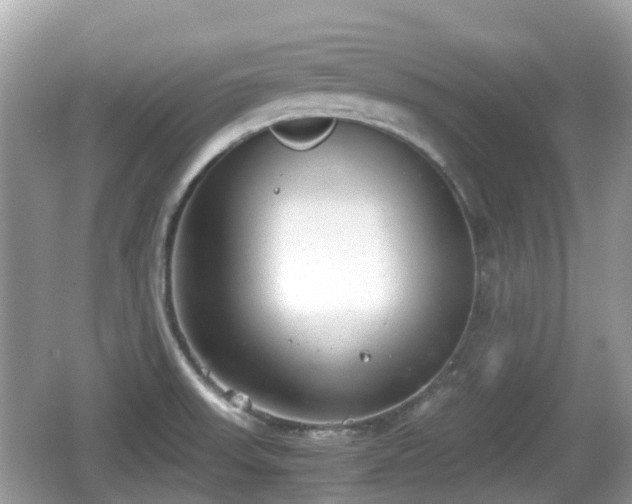 X0000062151523200512161220