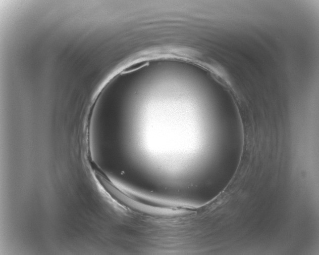 X0000062151524200512161220