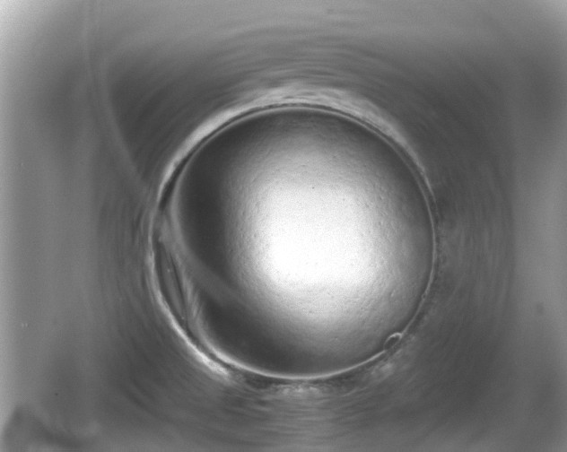 X0000062151525200512161220