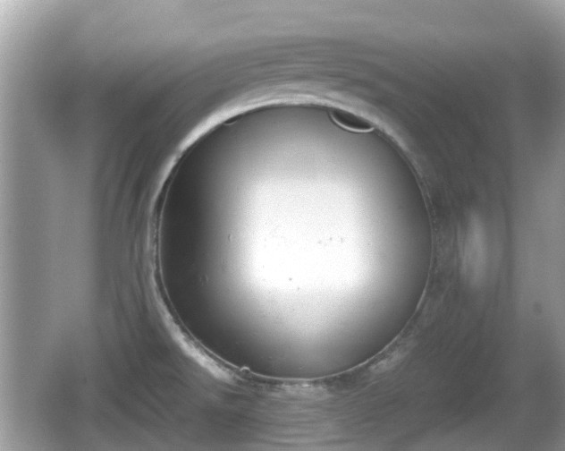 X0000062151526200512161220