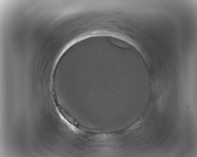 X0000062151527200512161221