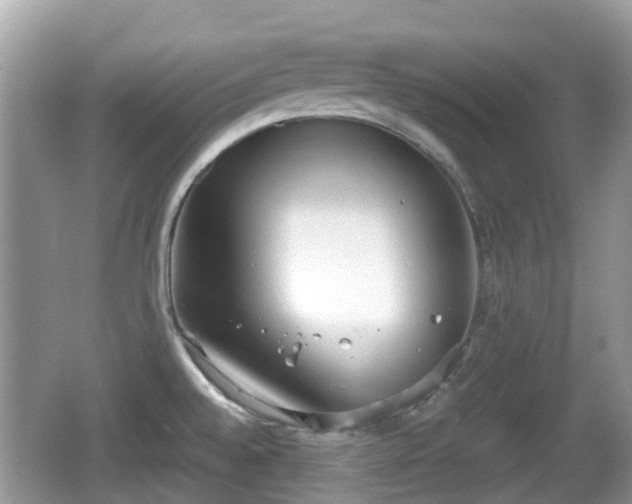 X0000062151528200512161221